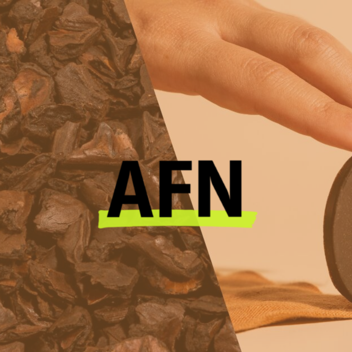 AFN Logo on top of original article picture