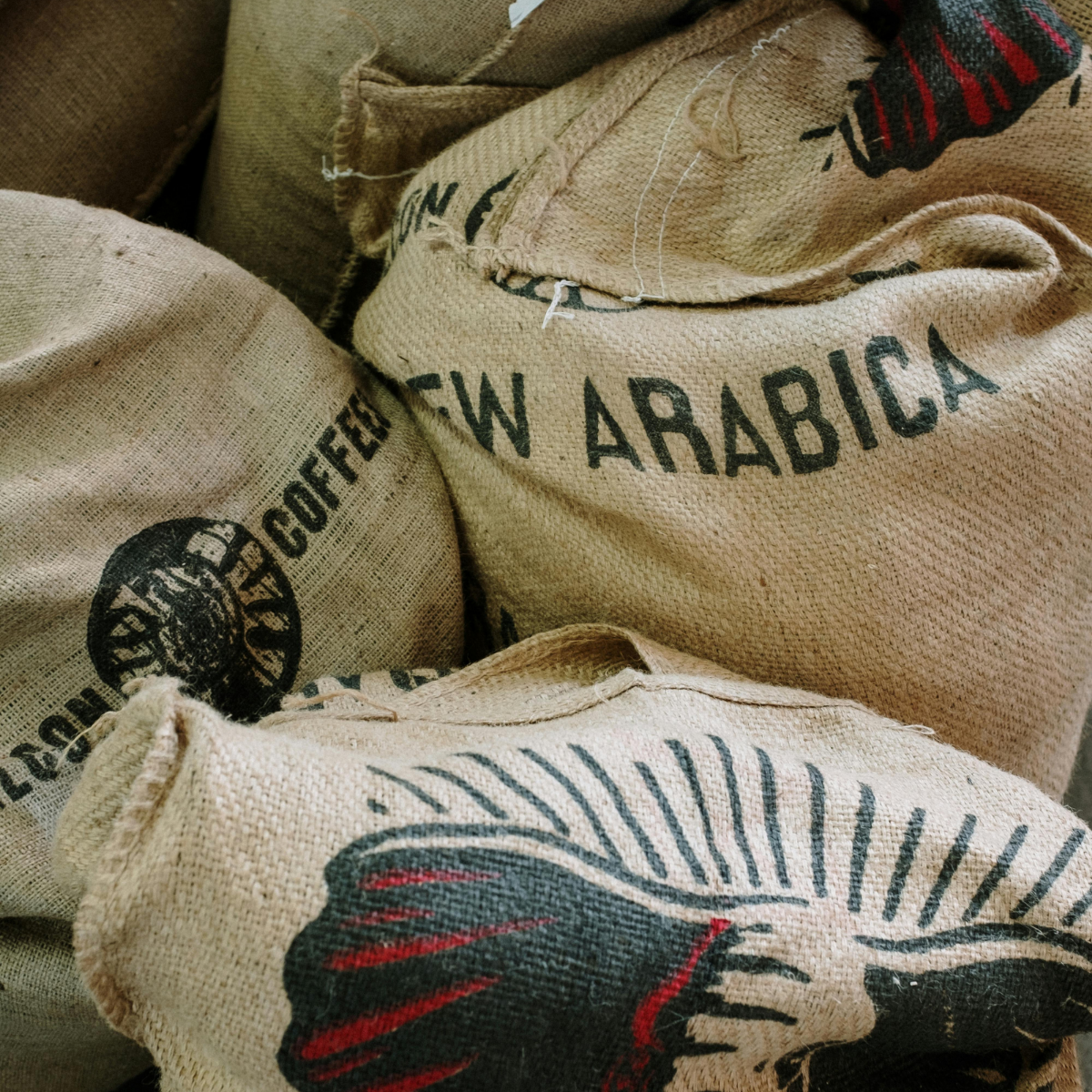 Green Bean Coffee Bags titled Arabica
