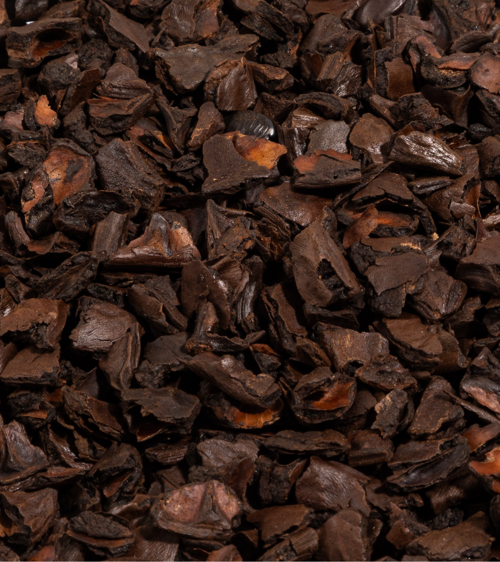 Close-up Roasted Carob Chunks
