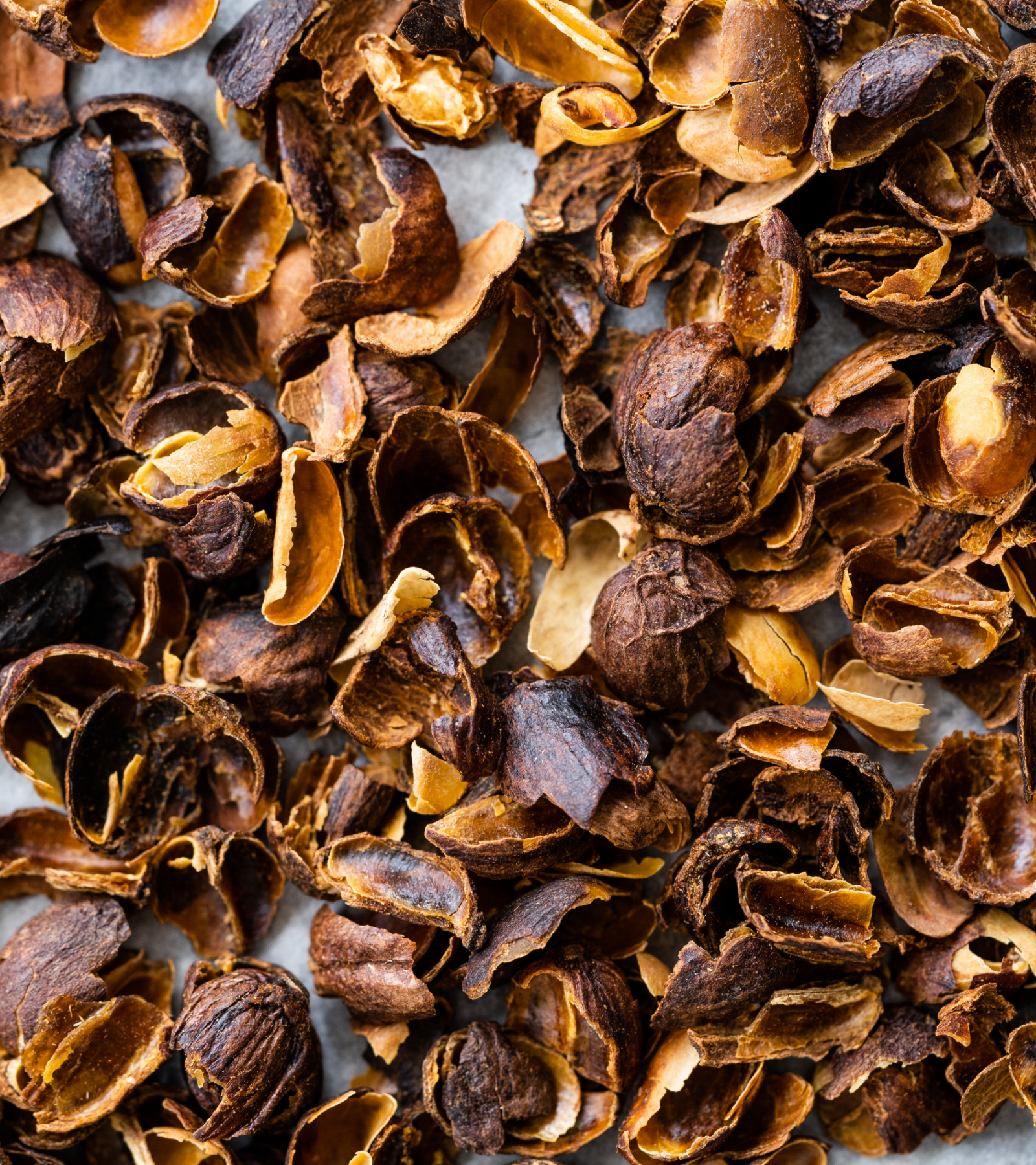 Coffee cherries cascara