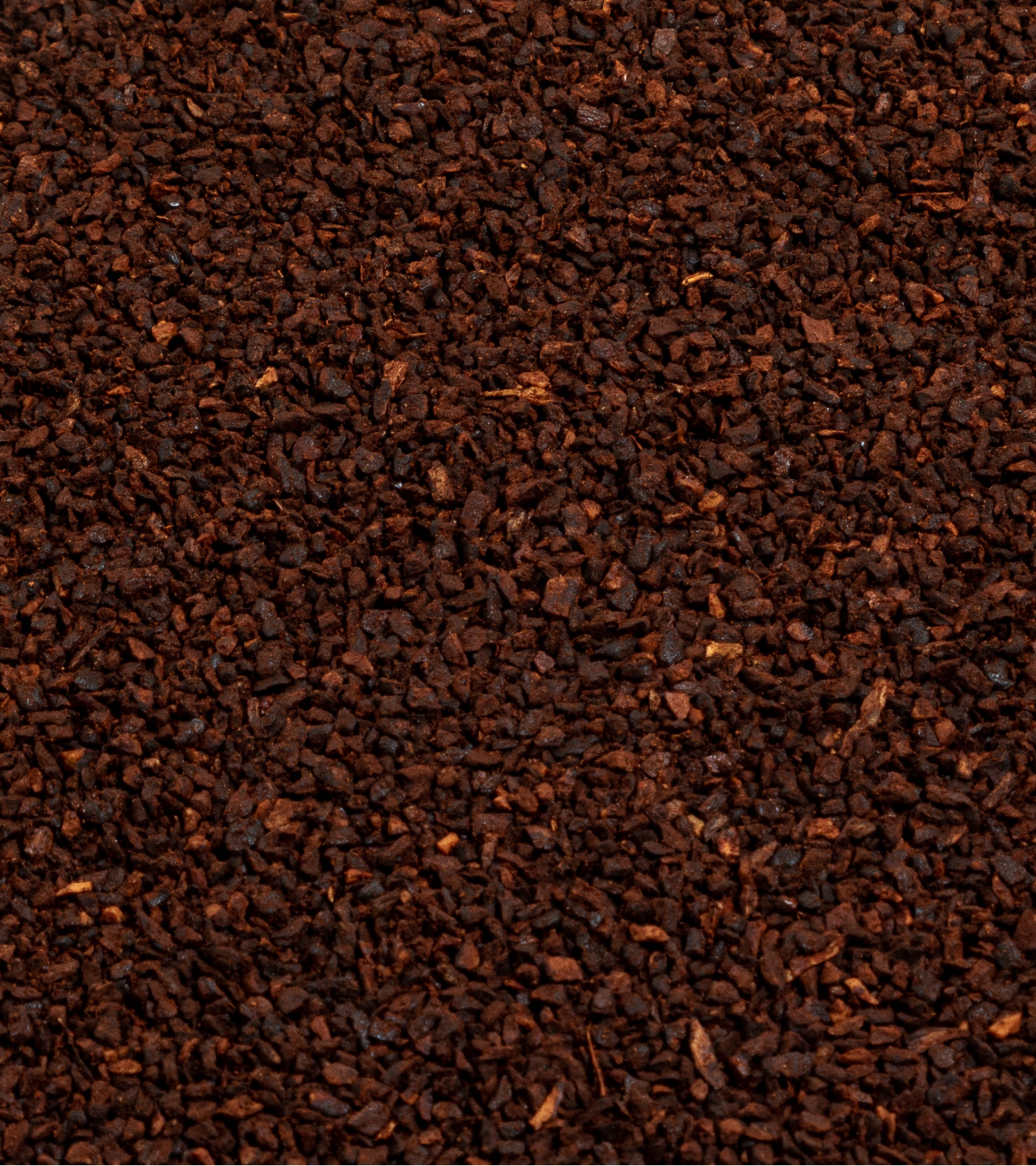 Roasted Chicory pieces