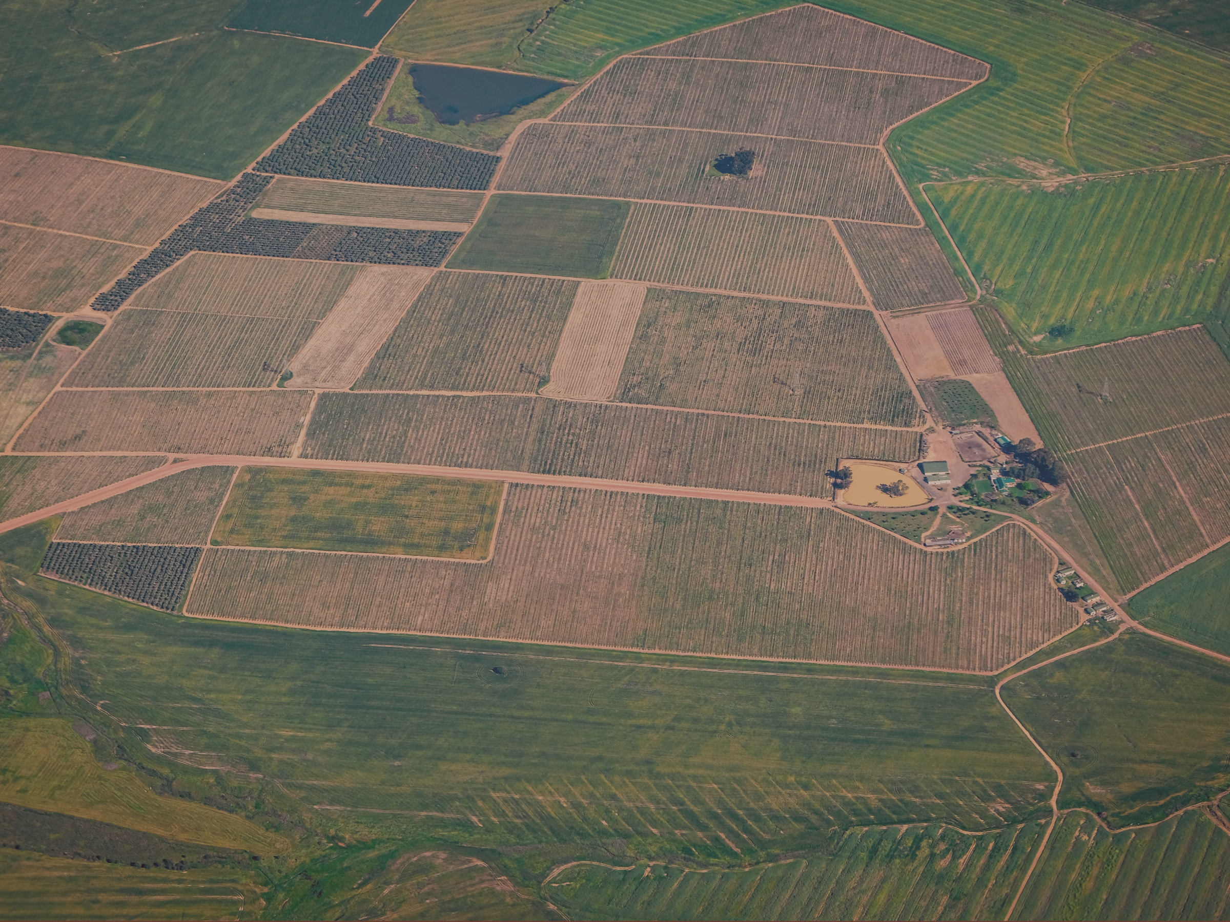 Aerial view of agricultural land plots