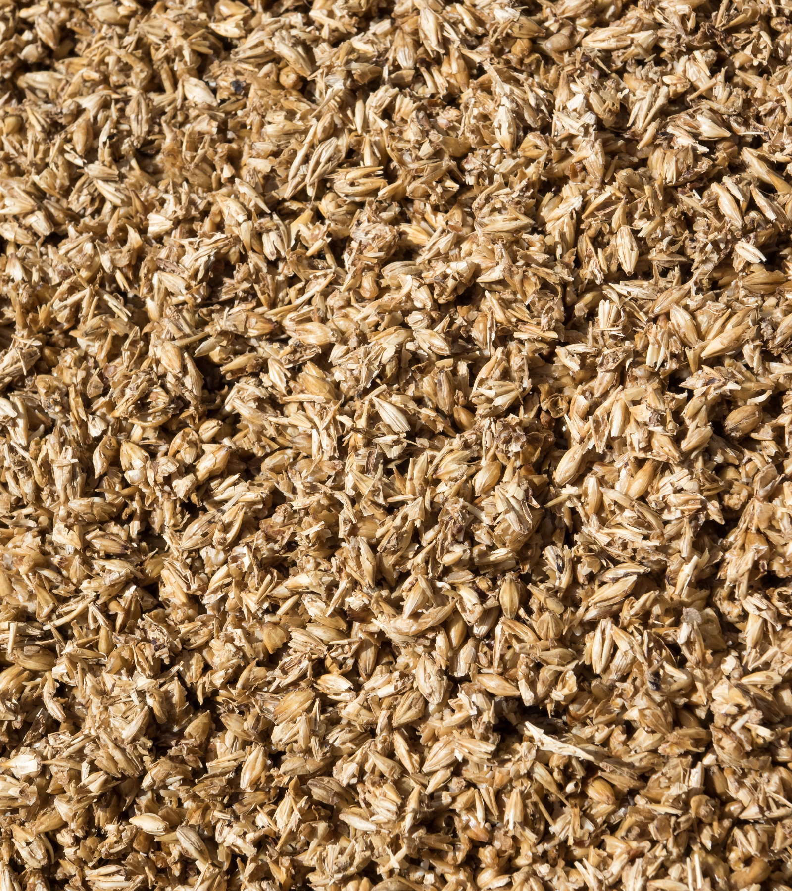 Close up of spent grain