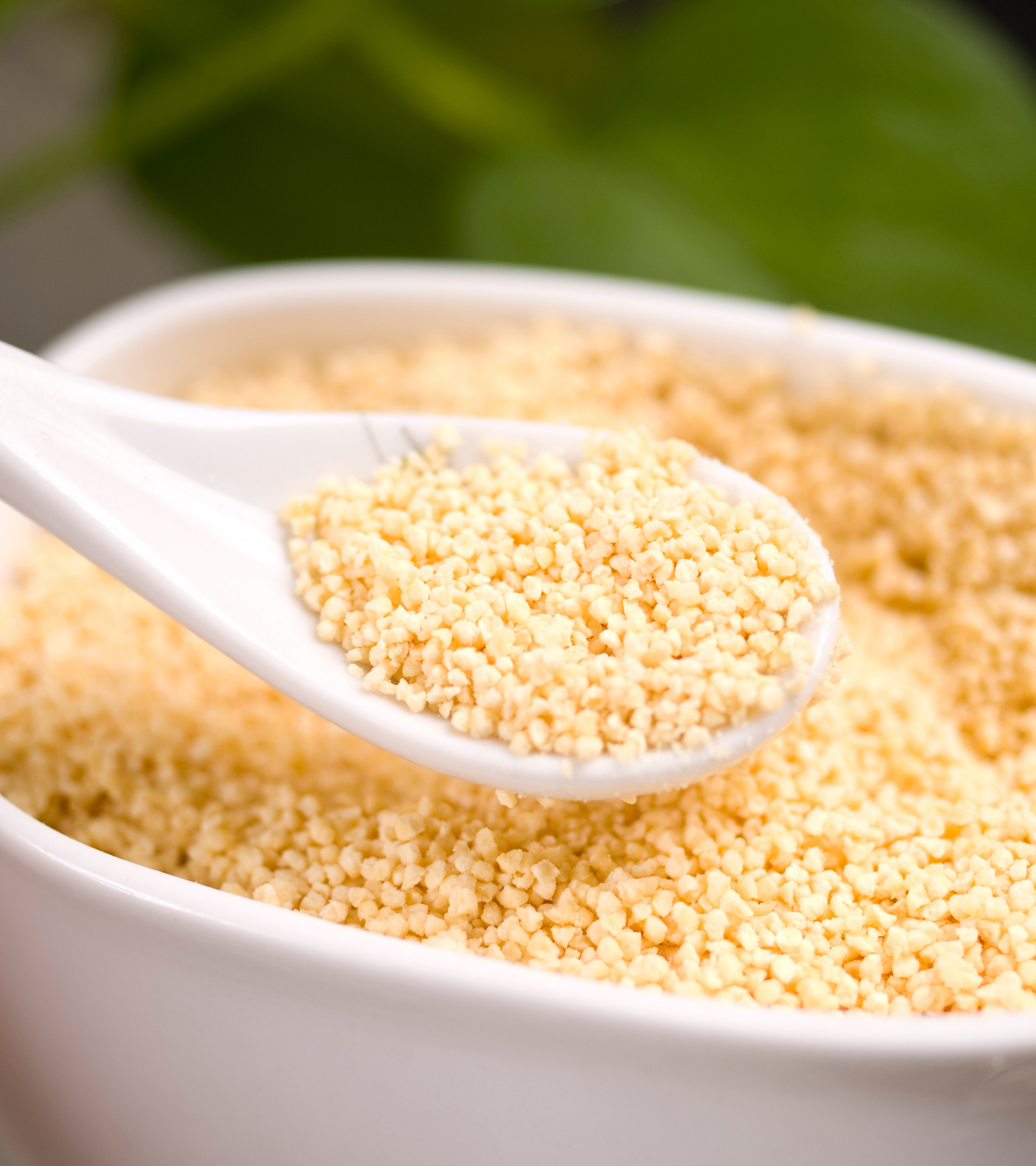 A white bowl and a white scoop, both filled with sunflower lecithin