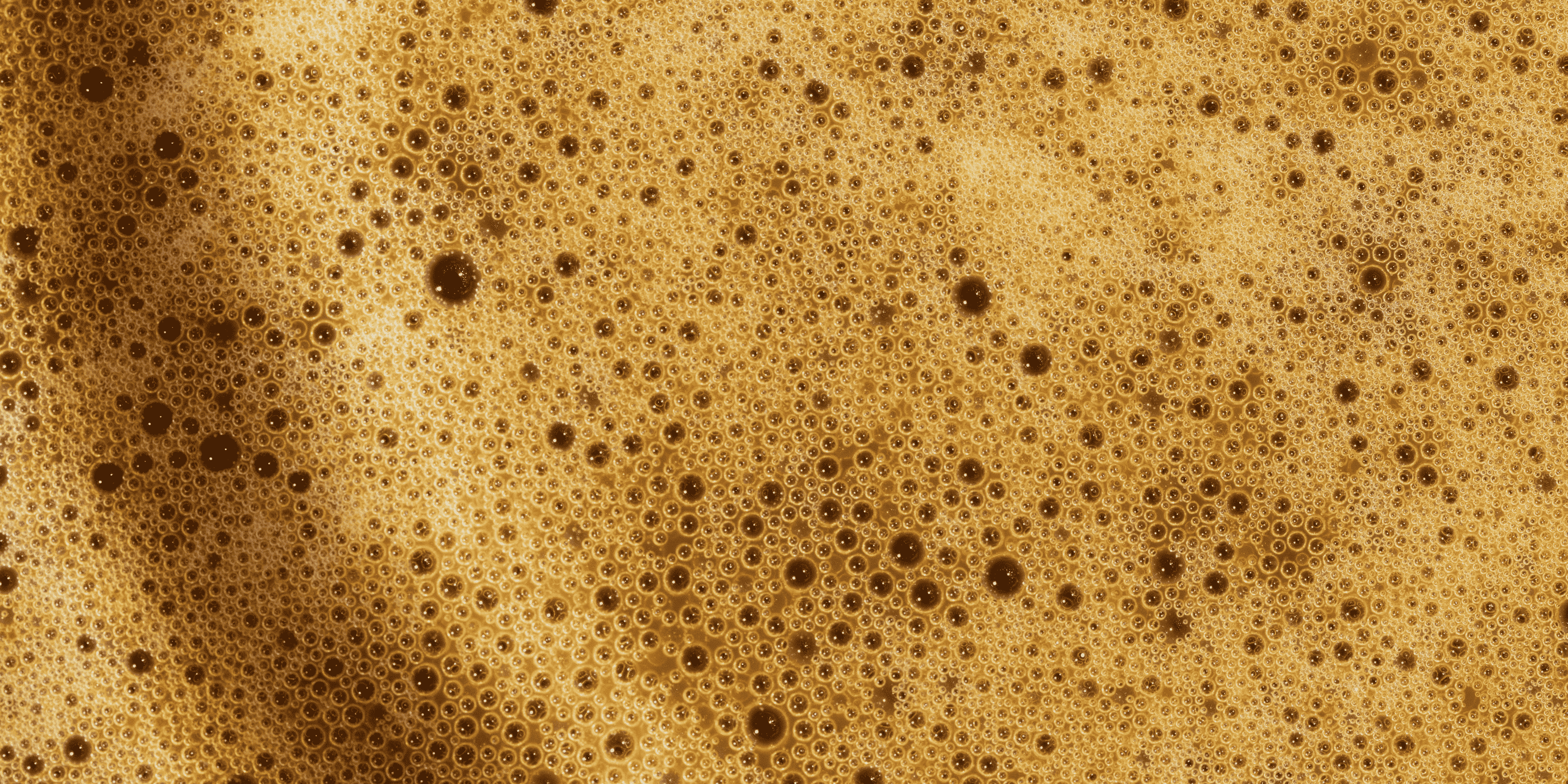 Close up of a fermentation process