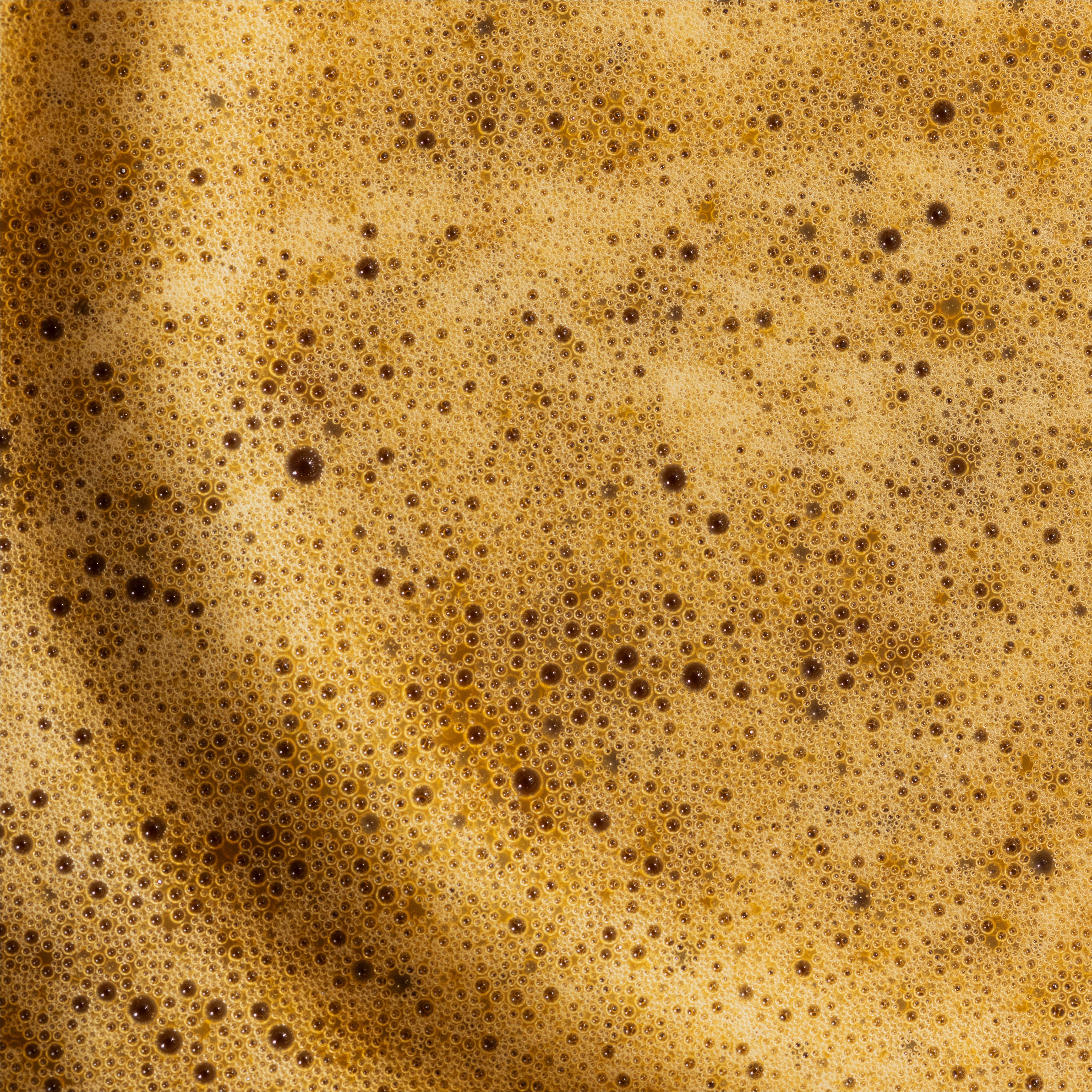Close up fermentation bubbles