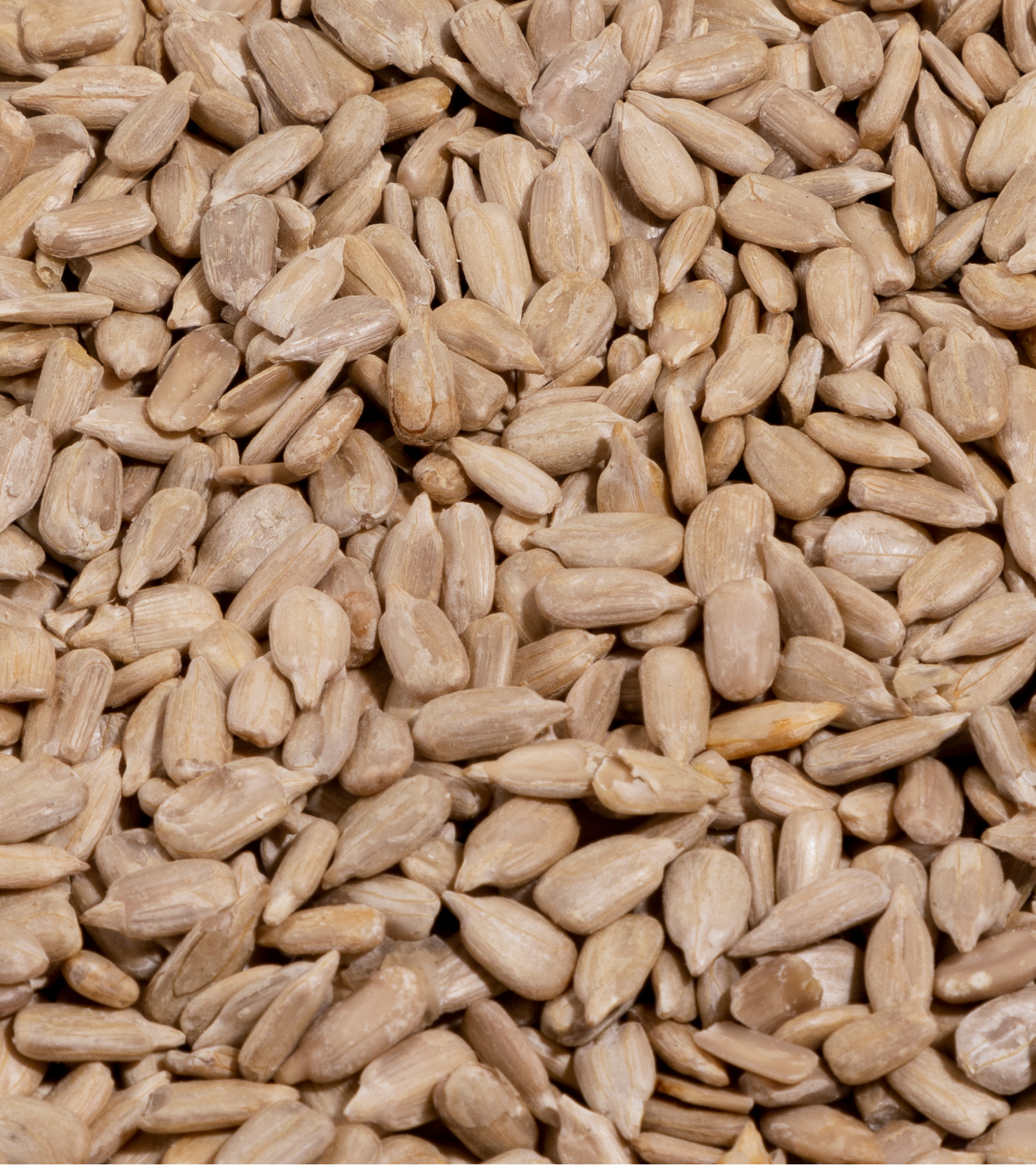 Close up of sunflower seeds